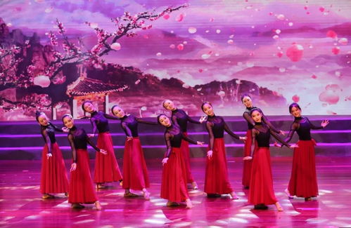 花開正當時，舞動少年夢——天臺縣少兒舞蹈成果展演圓滿落幕