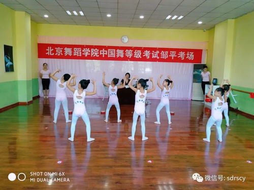 舞動少年夢，藝考新篇章——北京舞蹈學院教材少兒舞蹈考級鄒平站順利推進
